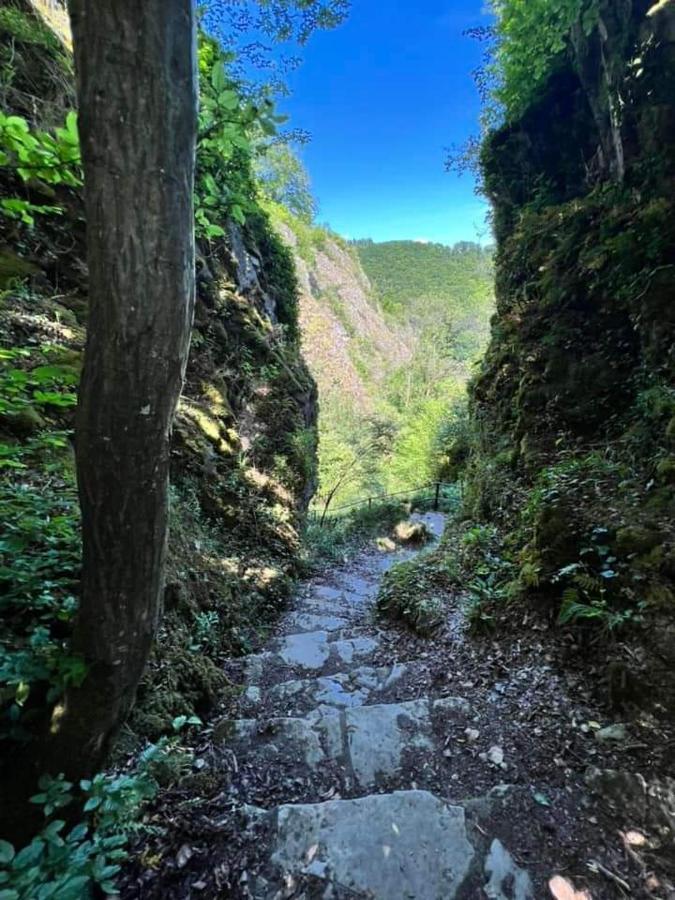 Vakantiestudio Ciney Chapois Luaran gambar