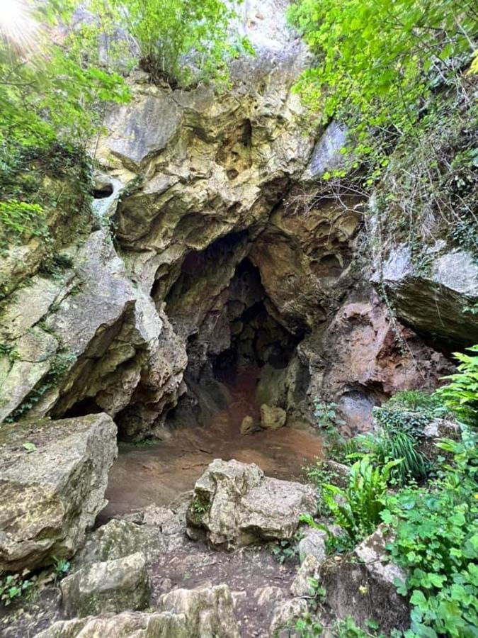 Vakantiestudio Ciney Chapois Luaran gambar